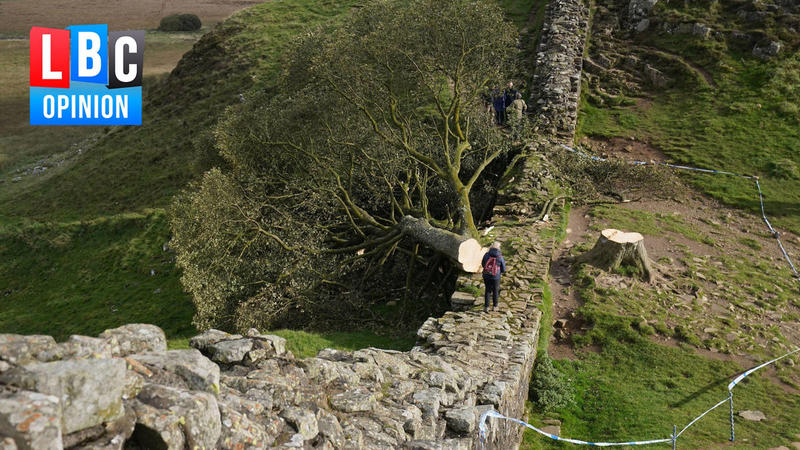 Why the loss of the Sycamore Gap Tree saw an outpouring of emotion
