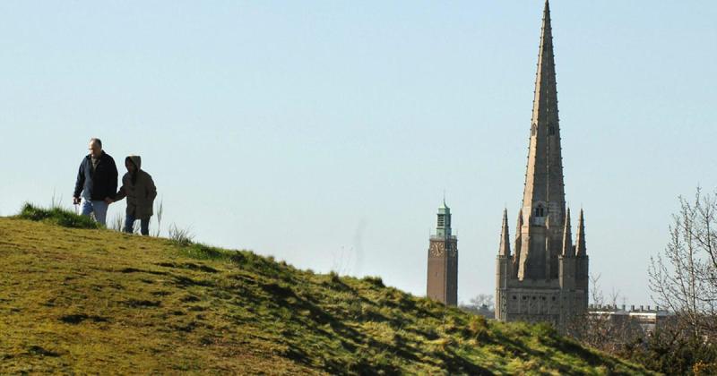 Warning issued after spate of dog attacks in city suburb