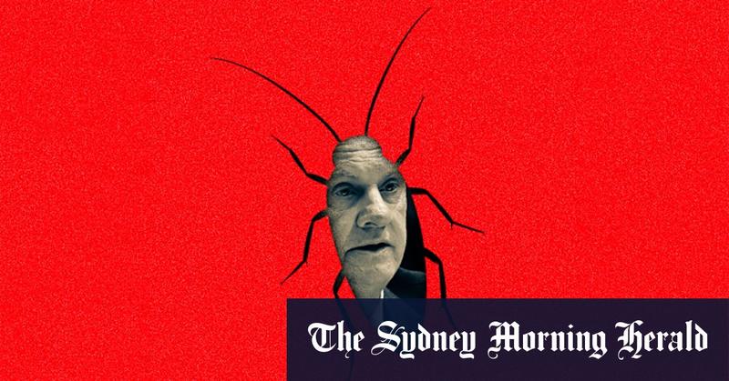 Like a cockroach that can’t be killed, Mark Latham has crawled around public life for too long. He must go