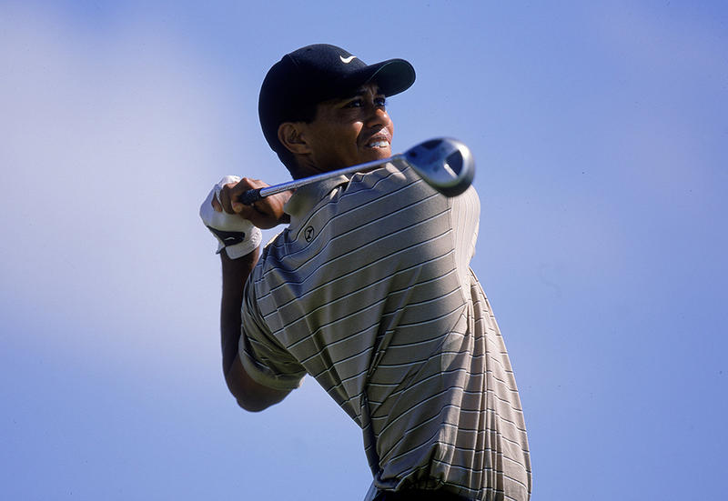 Books /					 													 						The enigma of Tiger Woods
