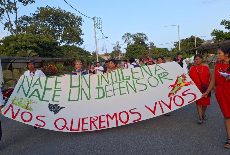 Pueblos indígenas amazónicos de Perú en alto riesgo por avance del narcotráfico