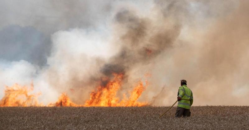 Wildfire risk in tinder-dry fields sparks call for action from farming leaders