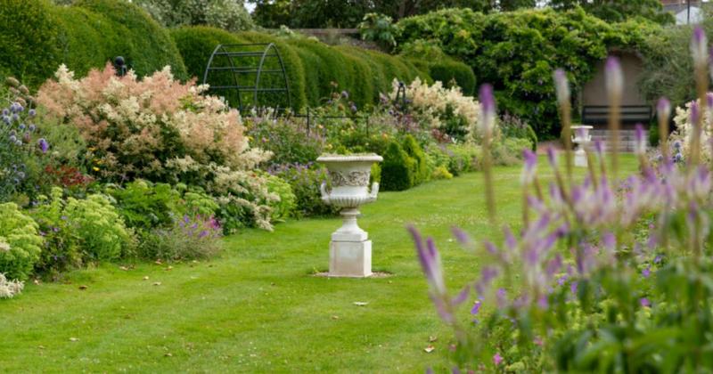 Rare chance to explore historic city garden to help wildlife in need