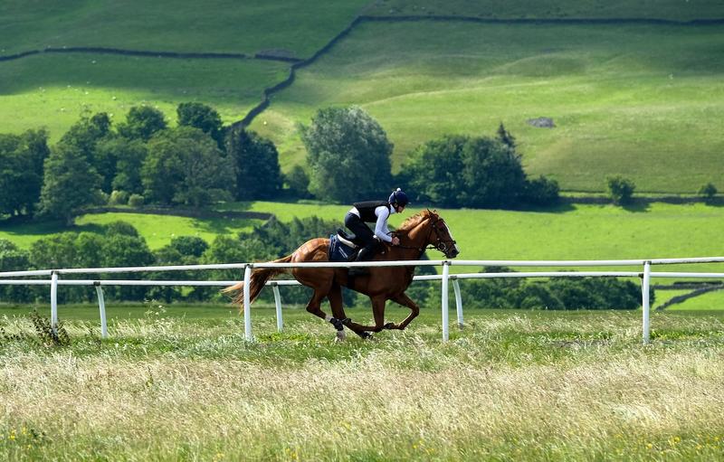 Three big priced bets for the summer