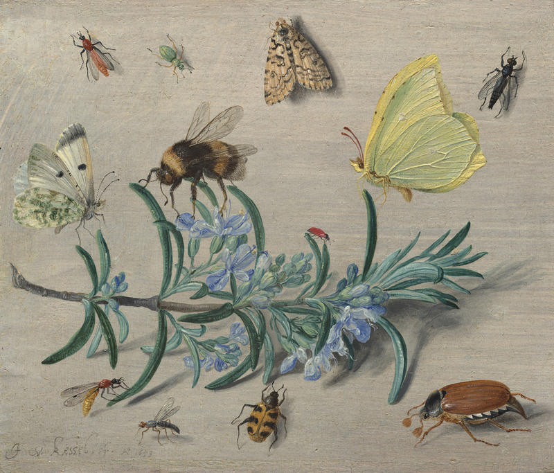 One Fine Show: ‘Little Beasts: Art, Wonder and the Natural World’ at the National Gallery of Art