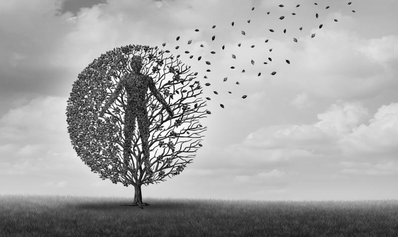 Bioart, από τον καμβά στο γονίδιο