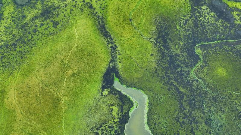The US Environmental Protection Agency’s retreat from science endangers the health of people and the planet