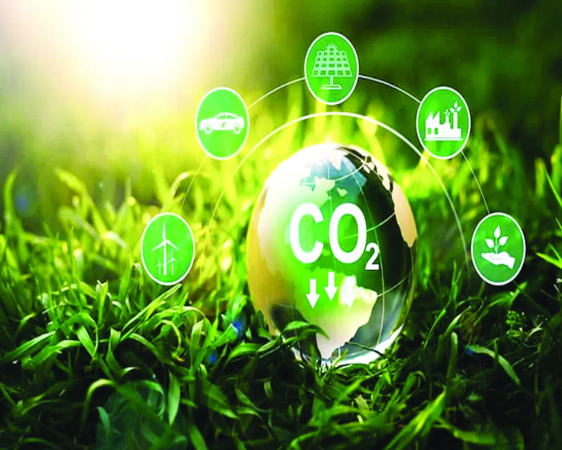 Biofuel or No Biofuel? India’s Hamletian Energy Dilemma