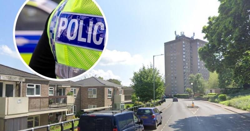 Two people arrested after cannabis plants thrown from window