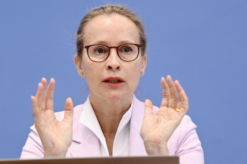 Frauke Brosius-Gersdorf: Die Provokation der SPD