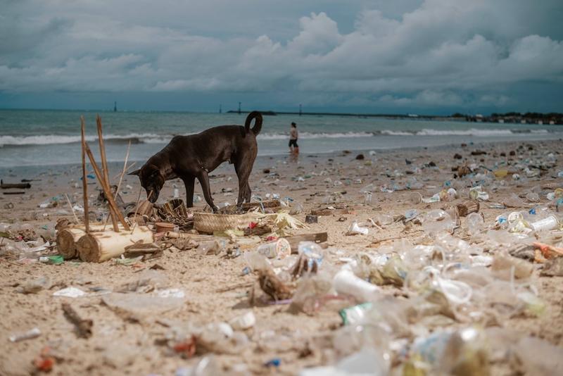Selbstheilendes Plastik: Warum eine großartige Erfindung von der Industrie missachtet wird