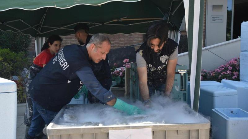 I volumi alluvionati salvati nei freezer: ma il tempo è scaduto