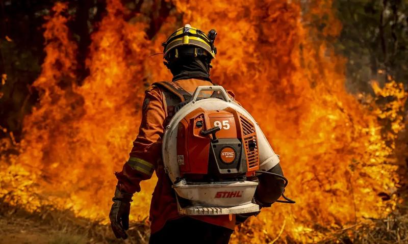 Se o PL da Devastação for sancionado, adeus preservação!