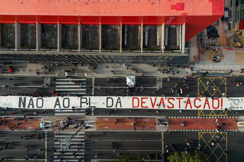 São quase 300 ladrões do futuro do Brasil