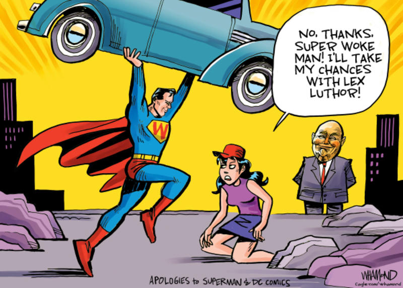 Cartoonists’ take