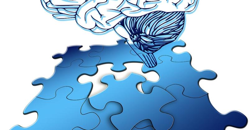 Brain Transmissions, Functions and Holistic Efficiencies