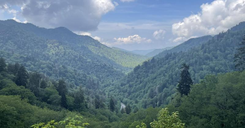 The Transgender Road to Tennessee