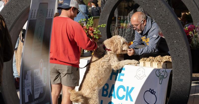 Stock up at the farmers market