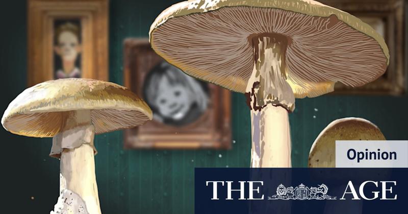 As a barrister, there was one question I desperately wanted to ask Erin Patterson