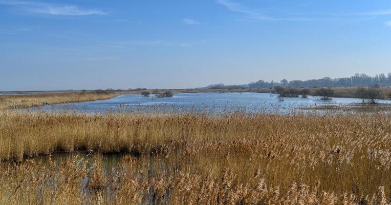Norfolk RSPB reserve reveals sea defence upgrade plans to combat coastal erosion