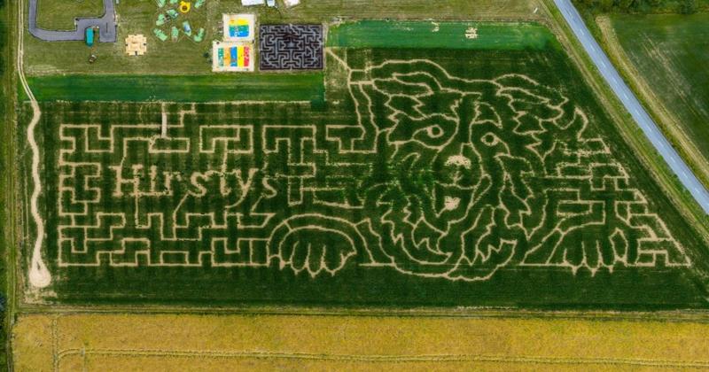 Canine design revealed for dog-themed 'mega maze' at farm's family fun park