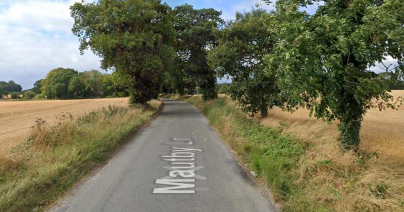 Grandmother suffered cardiac event and crashed car into stationary lorry