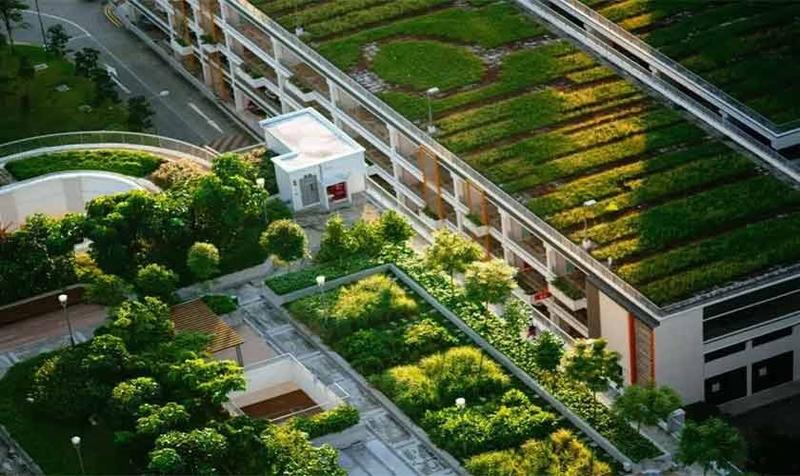 Innovation for resilient rural communities