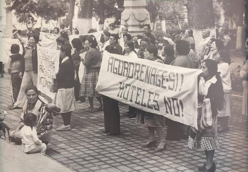 Entre gozos y fatigas. 52 años del Movimiento Popular de Pueblos y Colonias del Sur, CDMX