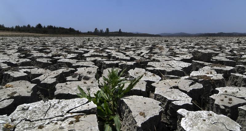 Desafíos para el progresismo post-primarias: ¿cómo se abordará la crisis hídrica?
