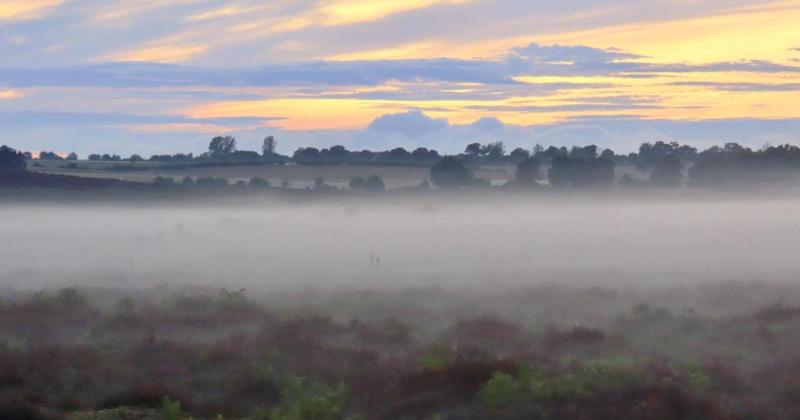 Photographer captures 'spectacular' low mist over nature reserve