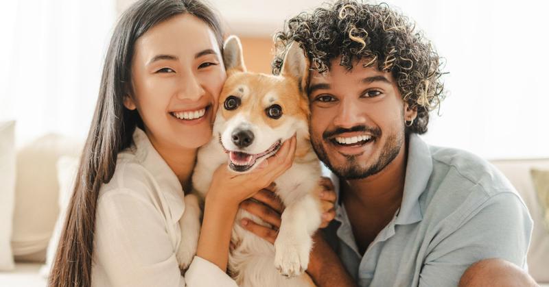 An Unexpected Way for Pets to Improve Your Relationship