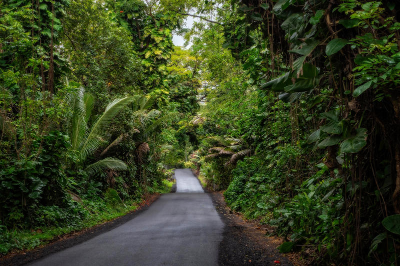 'Don't eat raw food': The terrifying threat lurking in Hawaii