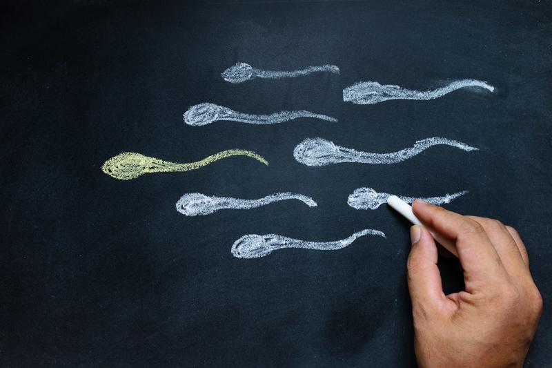 What’s the difference between sperm and semen? And can pre-ejaculate get you pregnant?