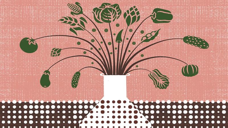 To improve both crop and human nutrition, India needs a paradigm shift