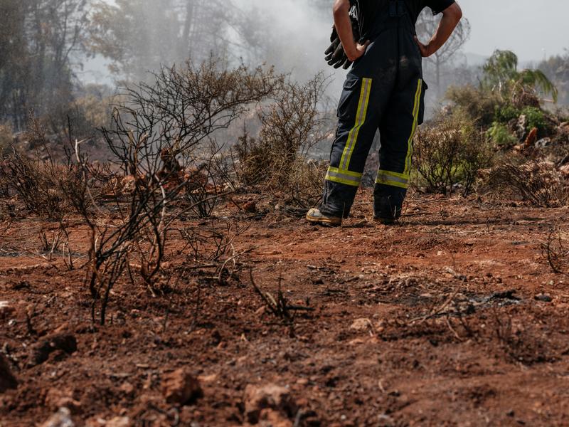 The 'why' of wildfires