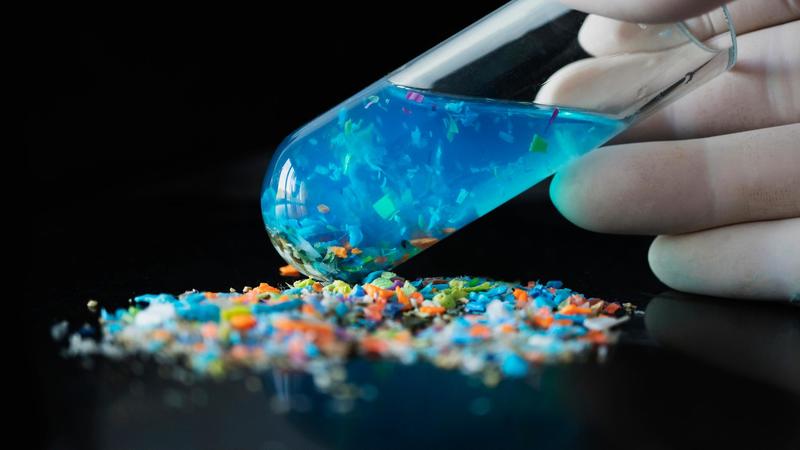 Microplastiche nella placenta e nelle ovaie: “Effetti sulla fertilità. E il pericolo aumenta col caldo”
