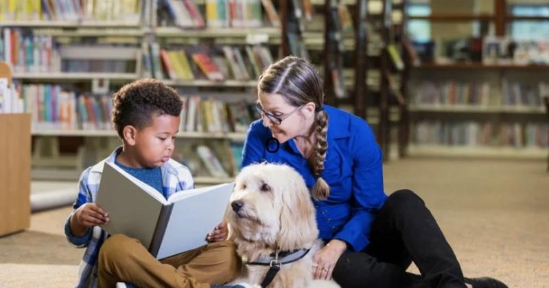 Choosing the Right Therapy Dog