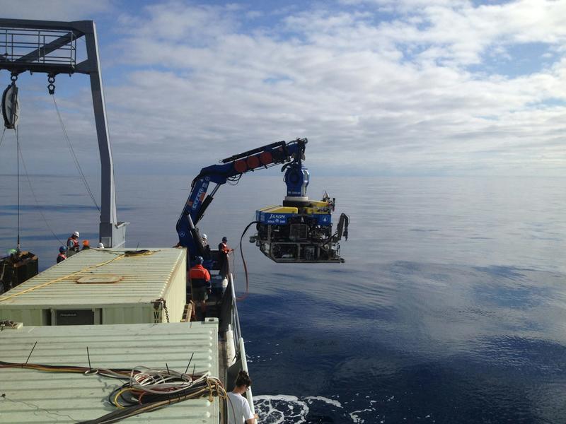 Microbes in deep-sea volcanoes can help scientists learn about early life on Earth, or even life beyond our planet
