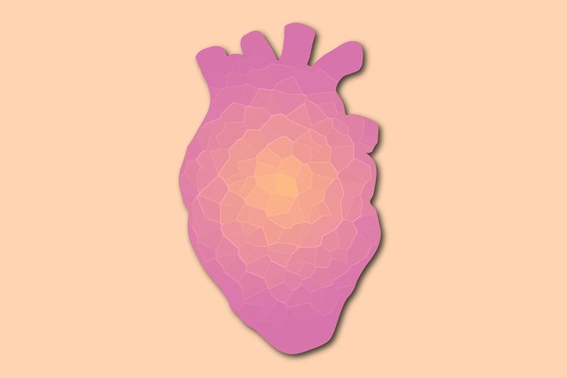 Why is heart cancer so rare? A biologist explains