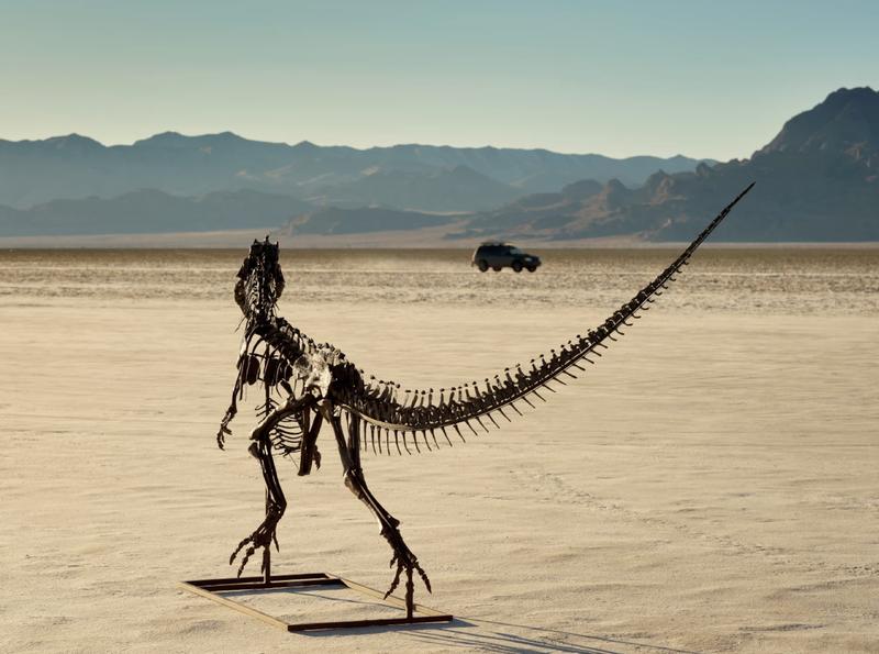 Why it’s not a problem that dinosaurs are sold for millions of dollars – art historian