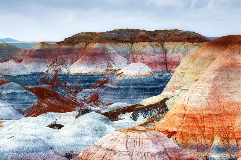 New dinosaur-like species discovered in US national park