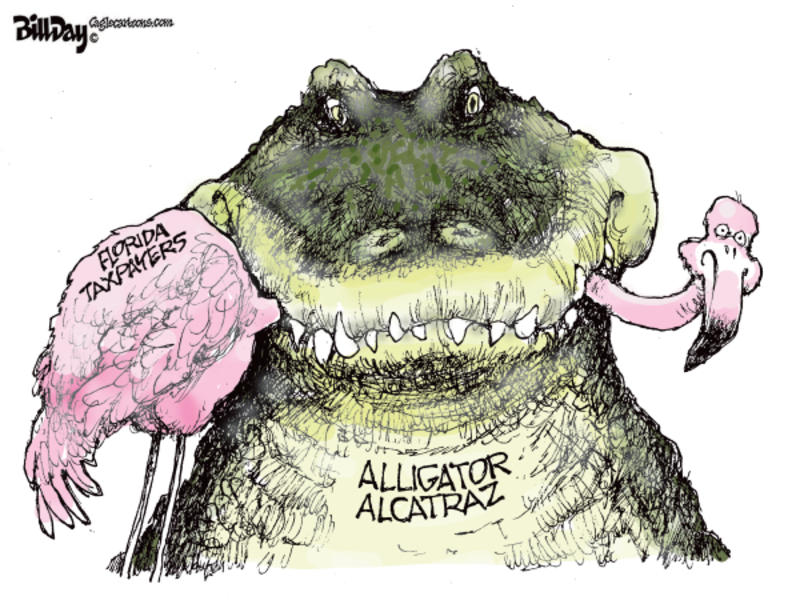 Cartoonists’ take
