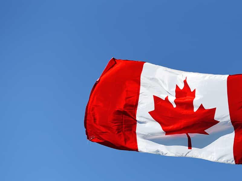Le délire multiculturaliste ne se repose jamais