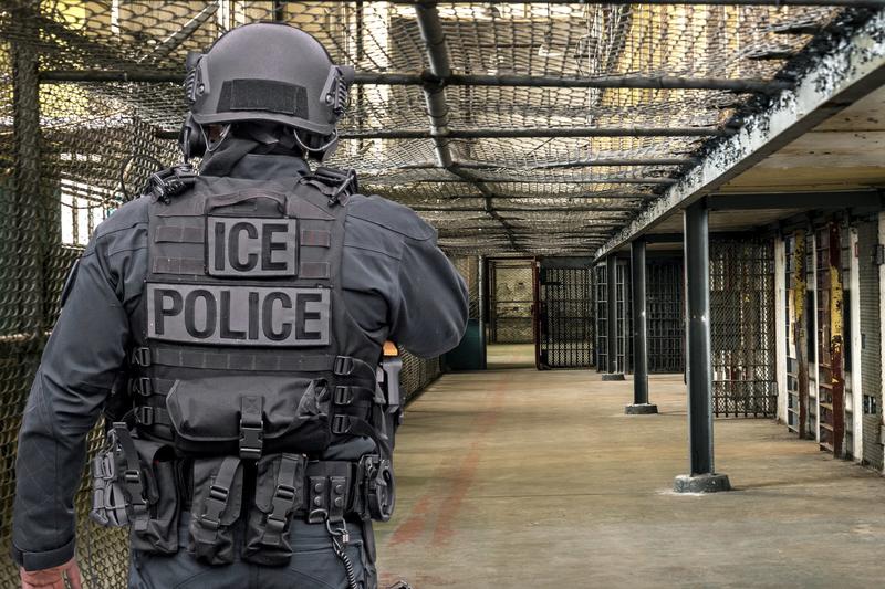 Private Security Firms May Earn Millions Under Trump by Aiding Mass Deportations