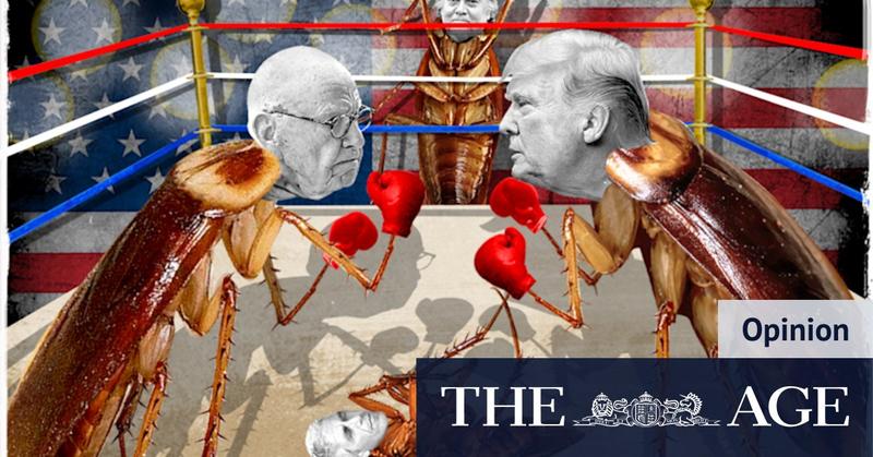 Trump, Murdoch, Epstein and MAGA: Bannon predicts firestorm, but it’s not clear who will get burnt