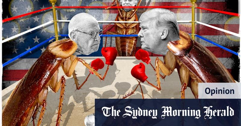 Trump, Murdoch, Epstein and MAGA: Bannon predicts firestorm, but it’s not clear who will get burnt