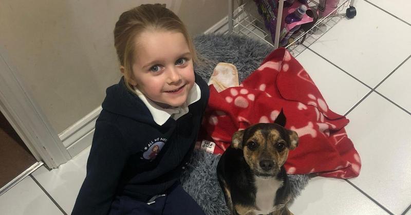 Grieving parents desperate for answers after four-year-old's inquest delayed
