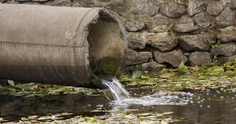 Sewage alerts issued at Norfolk beaches following heavy rain