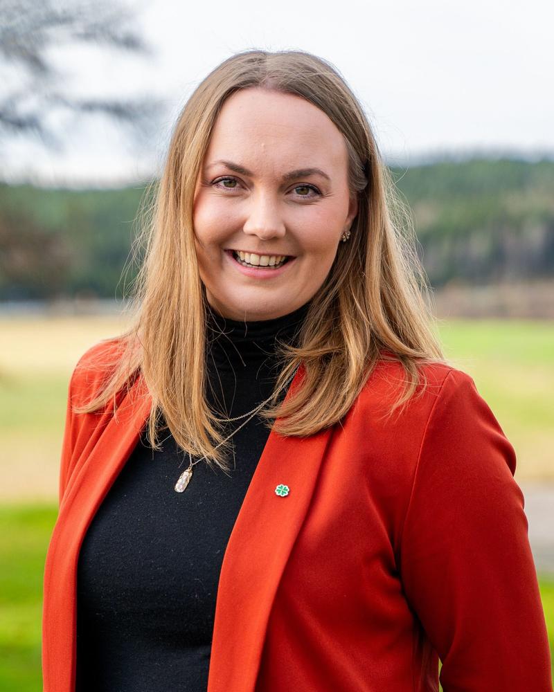 Det er ikke kvinnen som er problemet