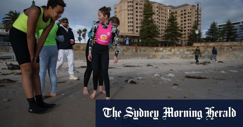 Government all at sea on toxic algal bloom